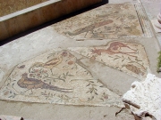 Maroc - Carthage