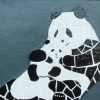 Huan Huan