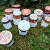 confitures fruits du jardin
