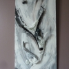 Eclosion 3