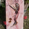 Eclosion 5