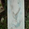 Eclosion 7